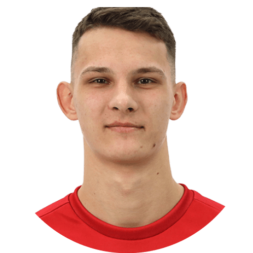 Михаил Козакевич